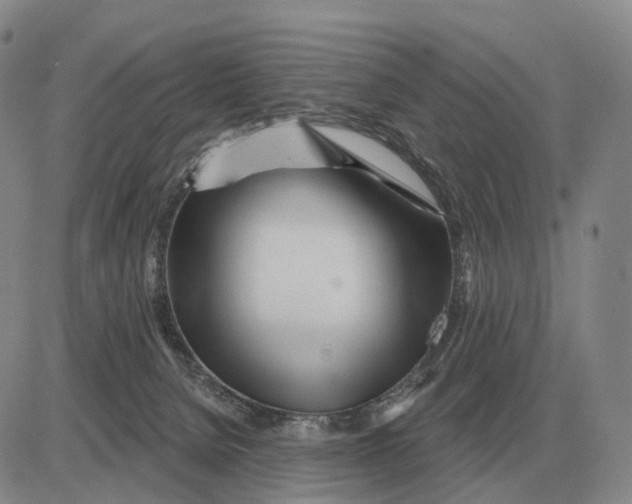 X0000083020080200702231849