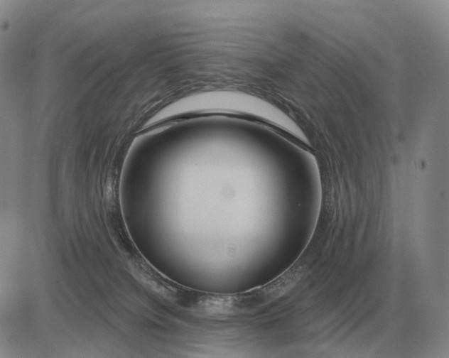 X0000083020084200702231849