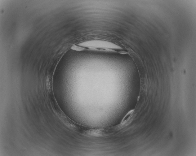 X0000083020086200702231849