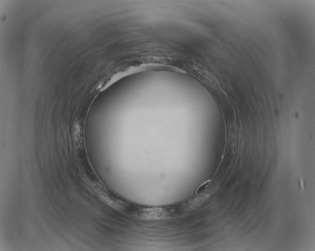 X0000083020087200702231849