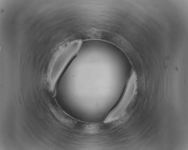 X0000083020088200702231849
