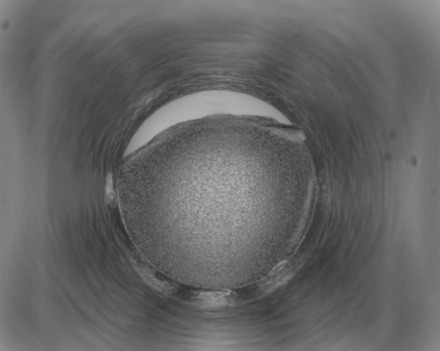 X0000083020089200702231849