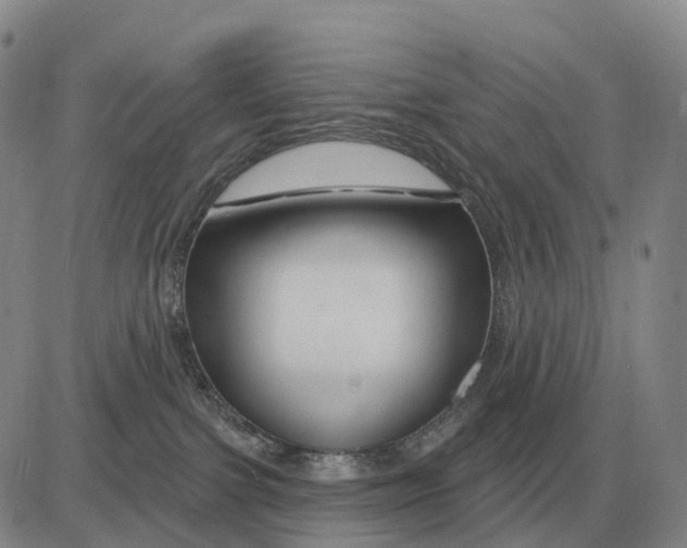 X0000083020091200702231849