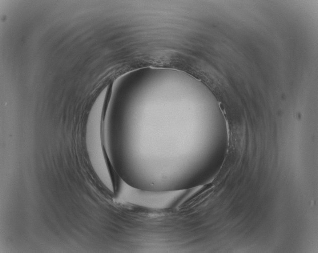 X0000083020092200702231849