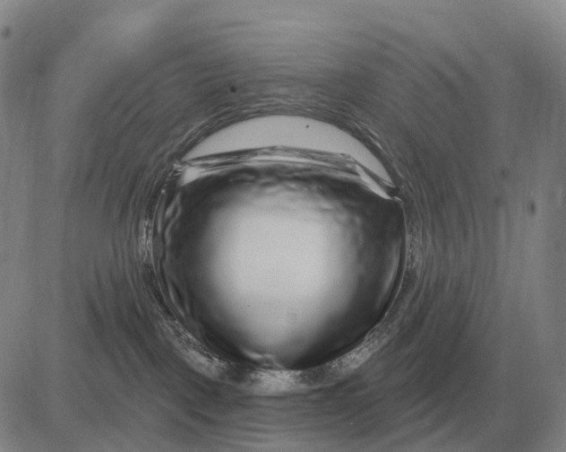 X0000083020093200702231849