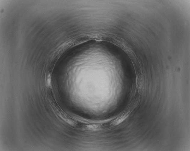 X0000083020095200702231849