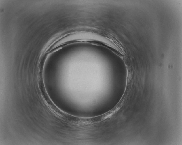 X0000083020101200702231848