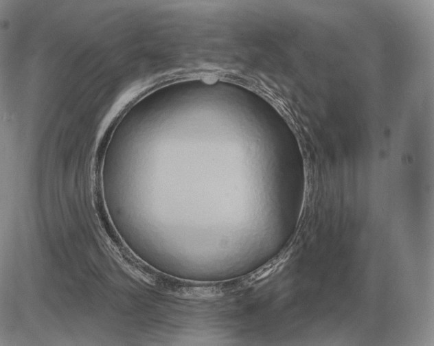 X0000083020102200702231848