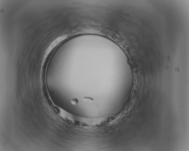 X0000083020104200702231848