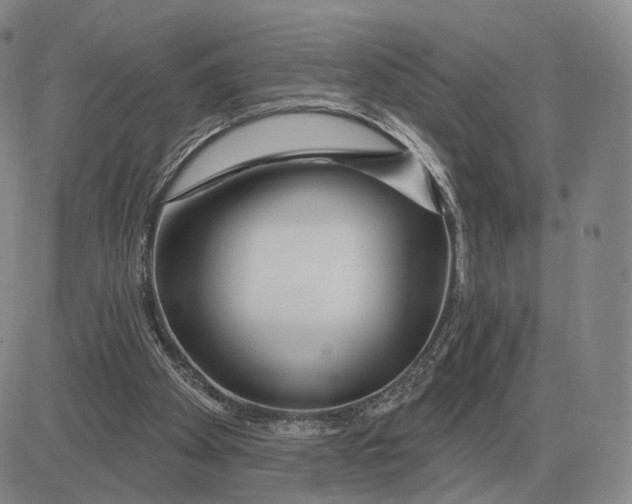 X0000083020105200702231848
