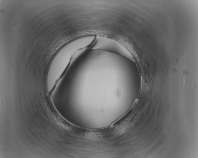 X0000083020109200702231848