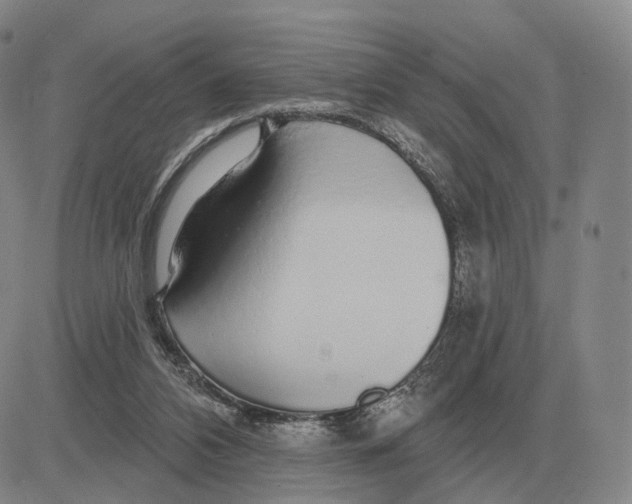 X0000083020112200702231848