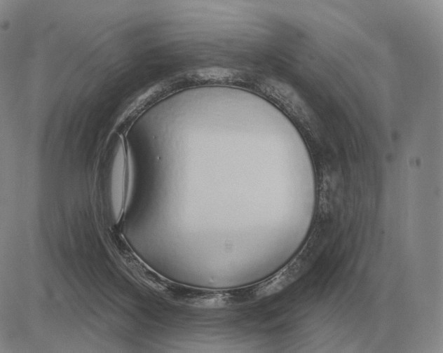 X0000083020116200702231848