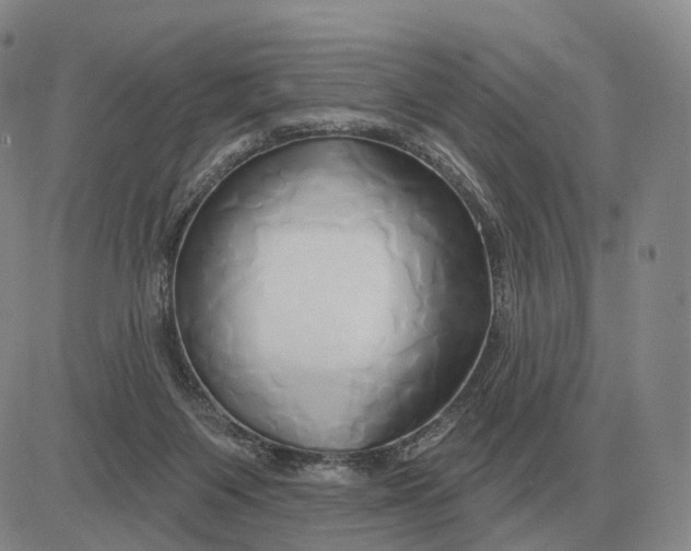 X0000083020119200702231848