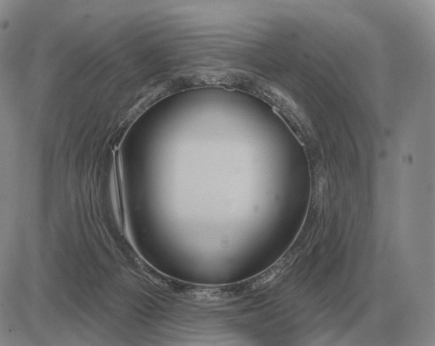 X0000083020121200702231848