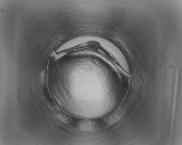 X0000083020123200702231848