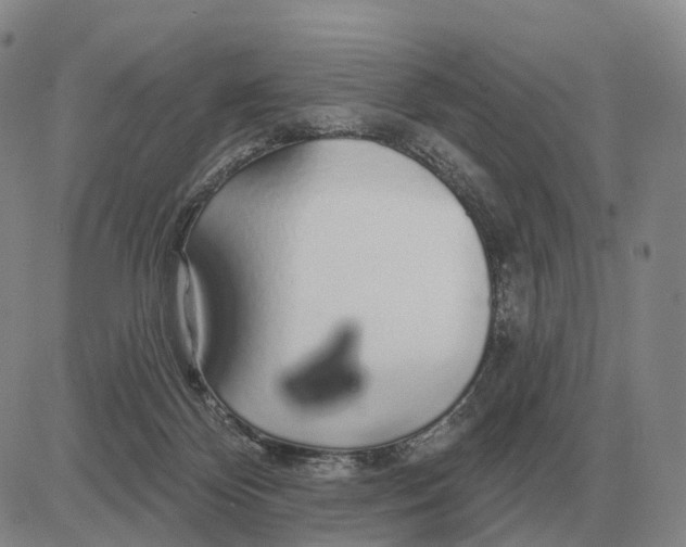 X0000083020124200702231848