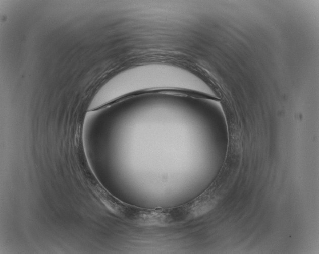 X0000083020125200702231848