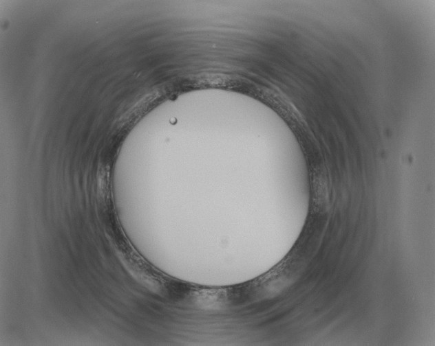 X0000083020126200702231848