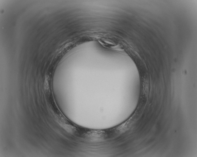 X0000083020128200702231848