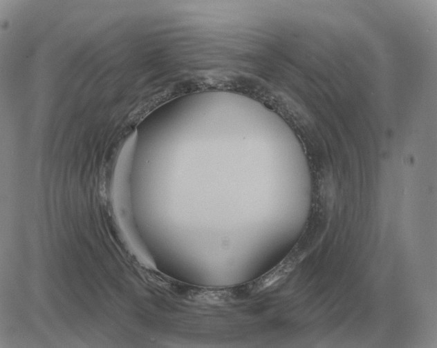 X0000083020129200702231848