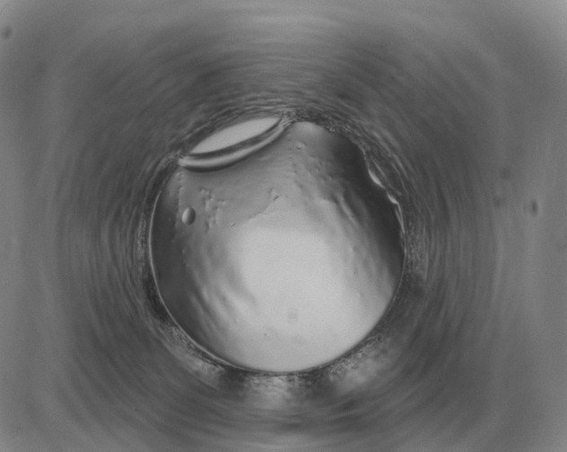 X0000083020131200702231848