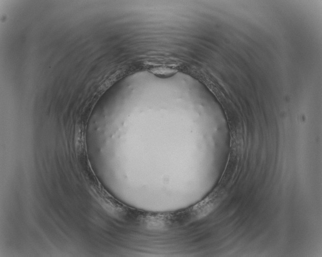 X0000083020134200702231847