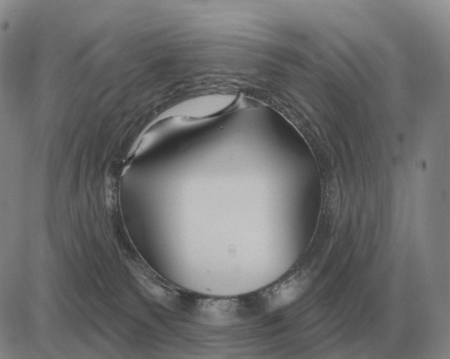 X0000083020135200702231847