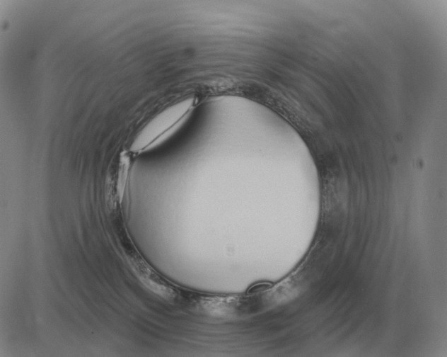 X0000083020136200702231847