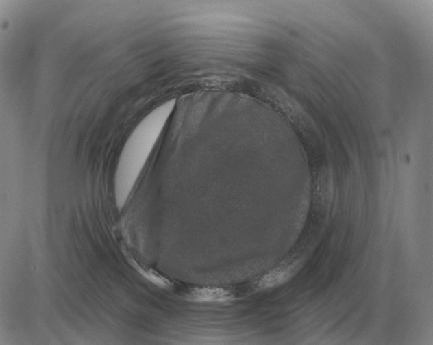 X0000083020137200702231847