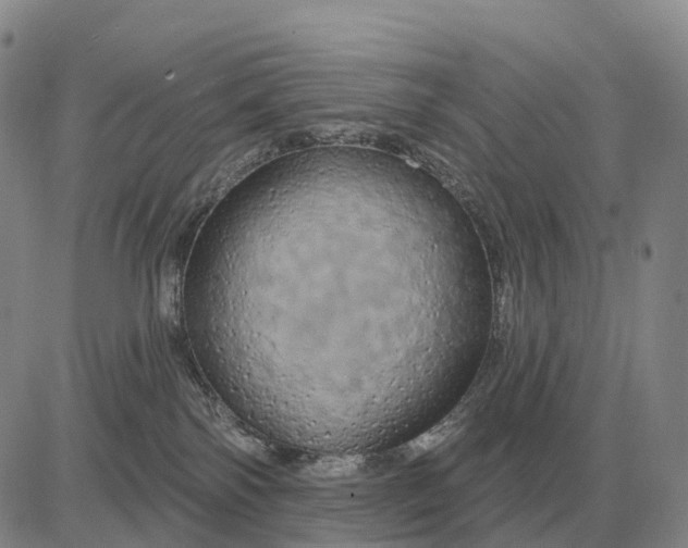 X0000083020138200702231847