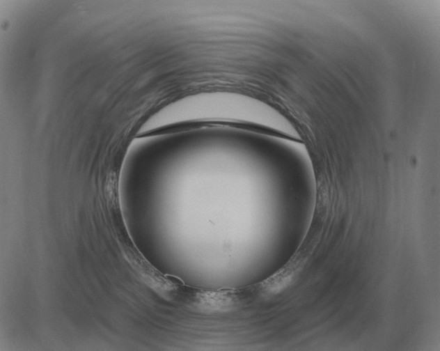 X0000083020141200702231847