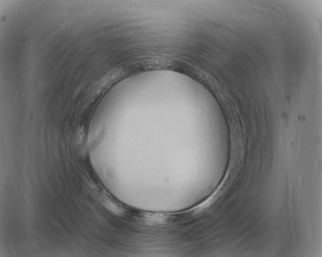 X0000083020144200702231847