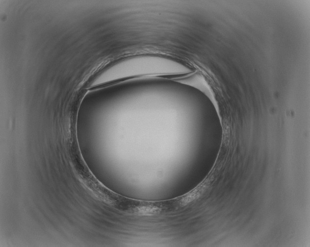 X0000083020158200702231847