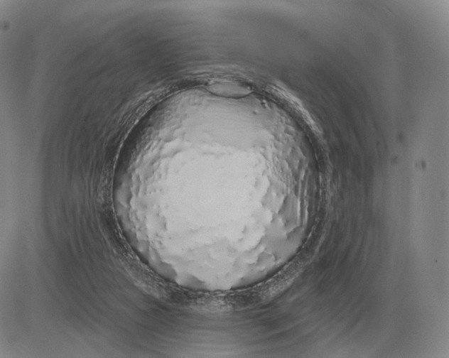 X0000083020161200702231847