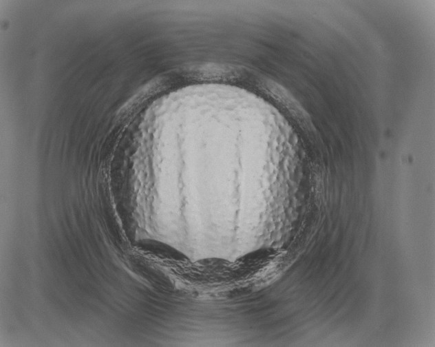 X0000083020165200702231847