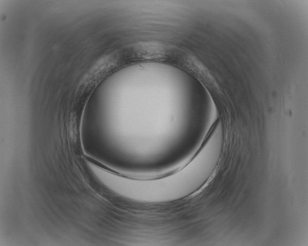 X0000083020170200702231847