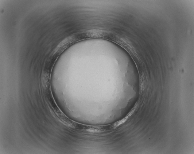X0000083020171200702231847