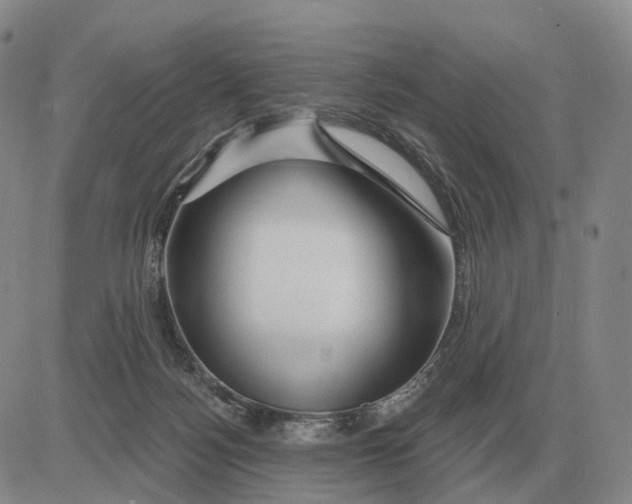 X0000083020172200702231847