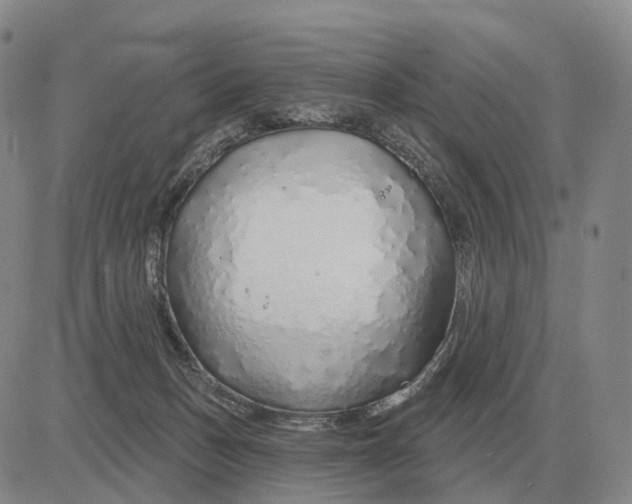 X0000083020175200702231847
