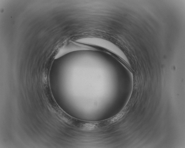 X0000083020176200702231847