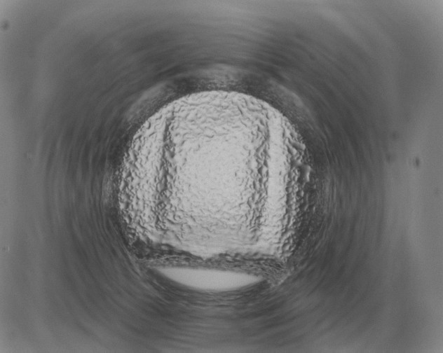 X0000083020177200702231847