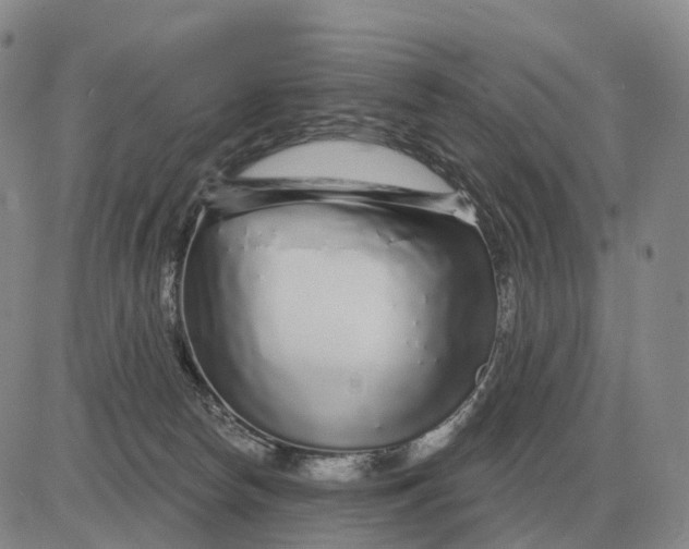 X0000083020178200702231847