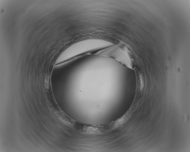 X0000083020180200702231847