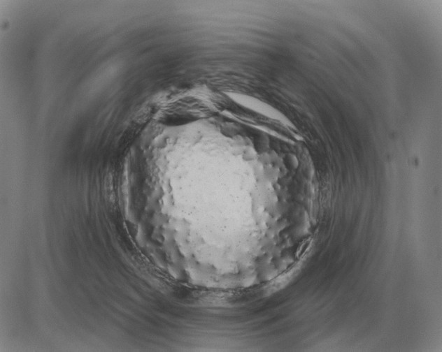 X0000083020182200702231847