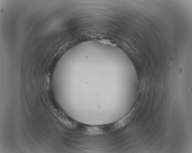 X0000083020183200702231847