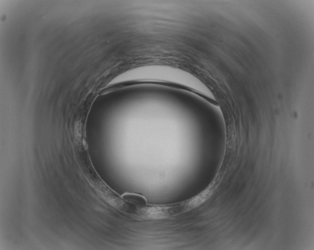 X0000083020184200702231847