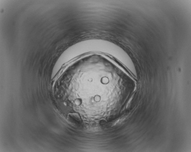 X0000083020185200702231847