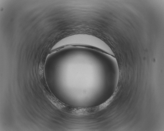 X0000083020186200702231847