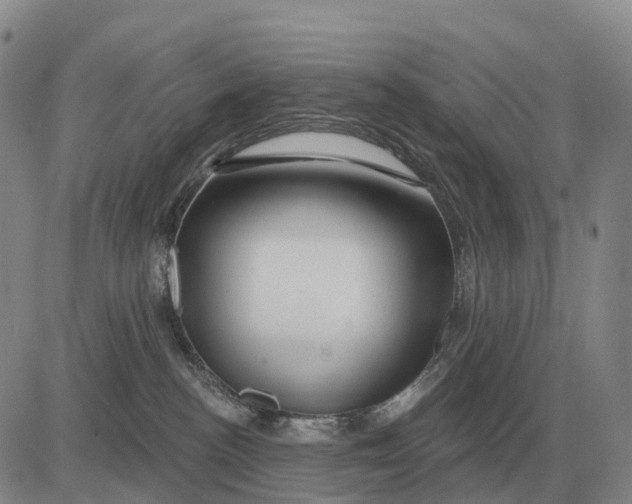X0000083020188200702231847